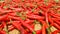 ,Red background,Red peppers being dried in the sun