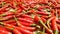 Red background,Red peppers being dried in the sun