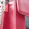 Red bag detail