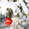 Red Ball on Christmas tree branch, covered with Snow. Outside.