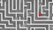 Red ball in white maze. The concept of solving complex business problems or training. Ð¡hoices and challenge theme. Template for