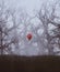 Red balloon in haunted forest