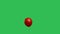 Red balloon on a ribbon flies up and flies away against the background of a green screen chroma key. Floating helium