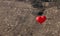 Red balloon in the shape of red heart hovers over field as a background