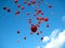 Red balloons in the Sky