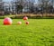 Red balls on a lawn in park