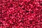 Red balls texture. artificial red holly berry