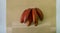 Red Banana is one of the variations existing in Brazil