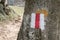 Red band trail mark on a tree. Hiking trail mark, sign.