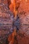 Red Bank Gorge Reflected