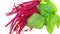 Red barbatti lal latara vegetable close up