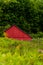 Red Barn - Abandoned Mountain Homestead - Appalachian Mountains - Maryland