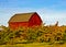 Red Barn, Apple Trees, Michigan