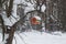 Red barn birdhouse snow covered in winter forest