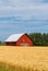 Red Barn in Field