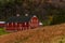 Red Barn & Golden Fields - Somerset County, Pennsylvania