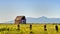 Red Barn, Golden Green Fields, Oregon