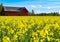 Red barn near rapeseed field in Sweden