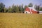 Red barn and outbuildings, Eastern Shore, MD