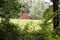 Red Barn Peeking Through Trees in Tennessee