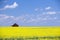 Red Barn Prairie Canola Field