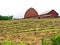 Red barn with round curved roof and just cut hay field