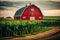 a red barn sitting in the middle of a field with green corn