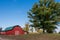 Red Barn And Tree