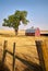 Red Barn Tree and Fence vertical