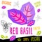 Red basil icon label fresh organic vegetable, vegetables nuts herbs spice condiment color graphic design vegan food.