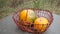 Red Basket with Two Medium Pumpkins