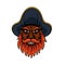 Red bearded cartoon pirate captain