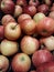 Red beautifull close up raw apples apples