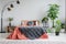 Red bed with patterned blanket between lamp and plants in grey bedroom interior