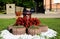 Red bedding begonia in concrete planters. public park. house with iron fence in background.