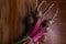 Red Beetroot with herbage green leaves on rustic background. Organic Beetroot.