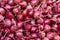 Red beets on display at the farmers market