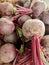 Red beets are included in the Beta vulgaris class and the Conditiva vulgaris group subspecies