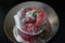 Red bell pepper covered with mold on a glass plate