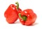 Red bell pepper peppers paprika paprikas vegetable food isolated