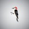 Red-bellied woodpecker. Vector illustration decorative design