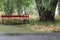 Red bench in the park. Landscape beginning of autumn