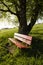 A red bench is standing on a meadow in Switzerland with a tree