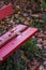 Red bench in the woods, park in autumn