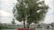 Red benches around high tree and walking people in garden