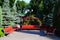 Red benches in the park against a background of red roses on a sunny day.