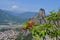 Red berries on a branch in front of mountains, selective focus