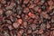 Red berries dried cranberries background