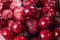 Red berries frozen cherry winter food background