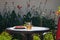 Red berries of garden strawberries with green sepals on a sunny yellow porcelain plate on a dark round plastic table